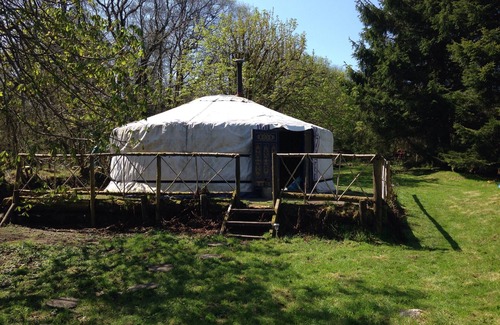 Newton Abbot RV Rental | Mongolian yurt in idyllic and totally private setting on Dartmoor