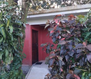 Tortuguero House | Monkey Beach House