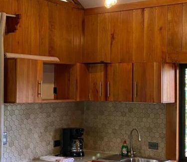 Monterrey Apartment | Monkey House, Monterrey
