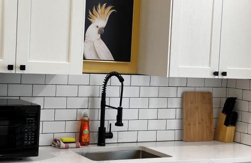 Downtown Apartment | Monkey Jungle Vibrant 2-BDRM Rooftop Access, Unit #6