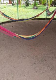 Tortuguero Apartment | Monkey Lodge