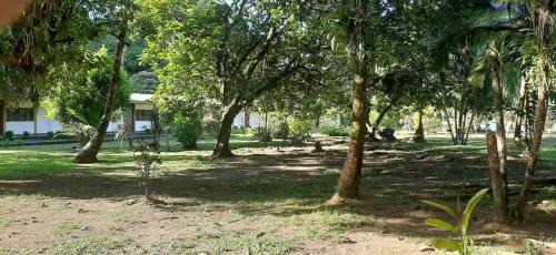 Tortuguero Apartment | Monkey Lodge