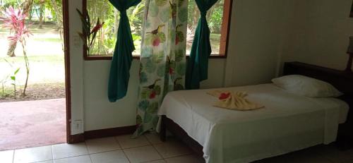 Tortuguero Apartment | Monkey Lodge