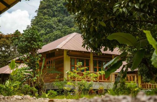 Khlong Sok Cabin | Monkey Mansion - Jungalows & Tours