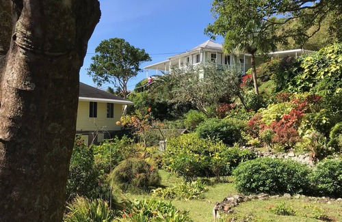 Fountain House | Monkey Rock