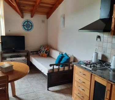 Lanin National Park Apartment | Monoambiente amplio con piscina