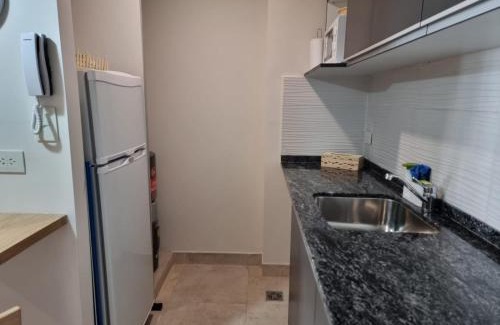 Barrio Centro Apartment | Monoambiente San Martin