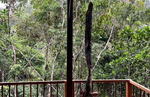 San Carlos Cabin | Montés Samaná