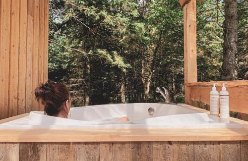 La Patrie Cabin | Mont Megantic - Chalet Le Madison