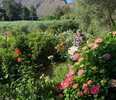 Montagu Bed & Breakfast | Montagu Vines Guesthouse