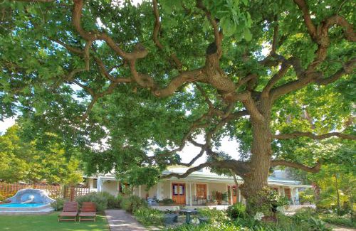 Montagu Bed & Breakfast | Montagu Vines Guesthouse