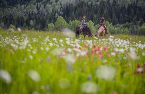 Bridge Lake Resort | Montana Hill Guest Ranch