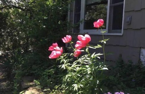 Culloden Shores Apartment | Montauk’s Secret Private Spot