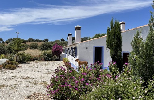 Alandroal Cottage | Monte Alentejano - Near Reguengos de Monsaraz and River Beaches