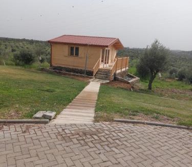 Almodovar e Graca dos Padroes House | Monte Beato