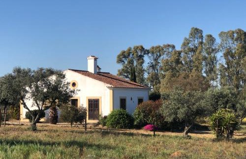 Ourique House | Monte da Azinheira