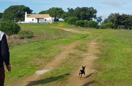 Melides Cabin | Monte da Belavista