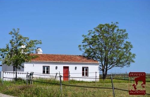Alter do Chao House | Monte da Boavista - Country family house