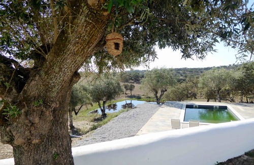 Arronches Villa | Monte da Falagueira by Portus Alacer