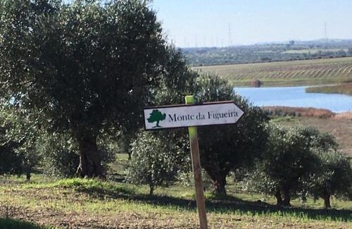 Moura House | Monte da Figueira