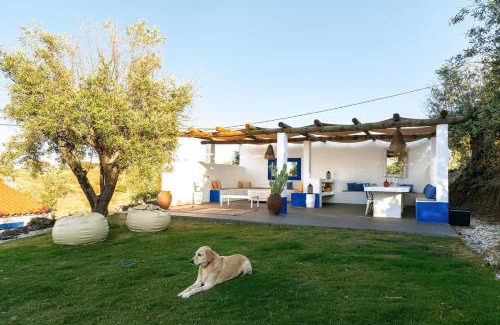 Alandroal House | Monte Frecae