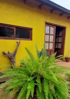 Puerto Libertad Apartment | Monte Guesthouse