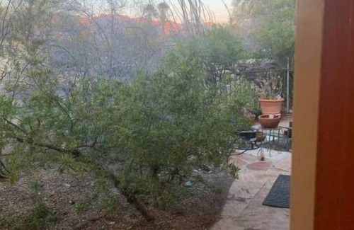 Dodge Flower House | Monte Vista Casita. Private. Fast Wi-fi. Peaceful.