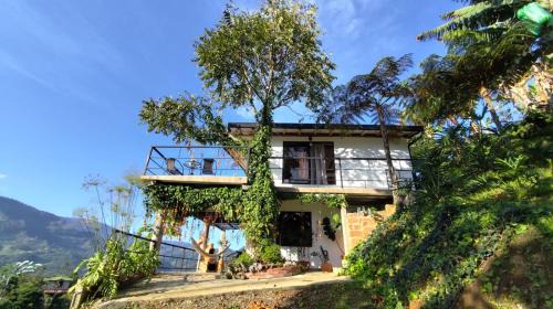 Jardin Other | Montecafé Jardín