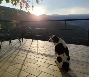 Jardin Other | Montecafé Jardín