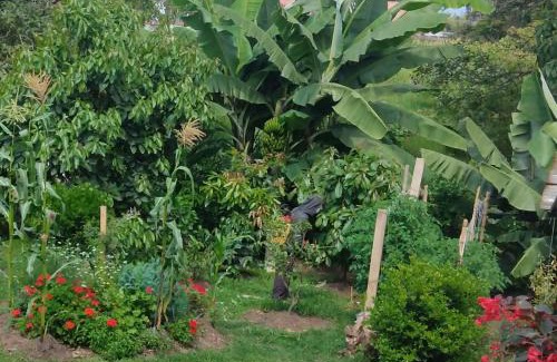 Fusagasuga Apartment | MonteClaro de Fusa
