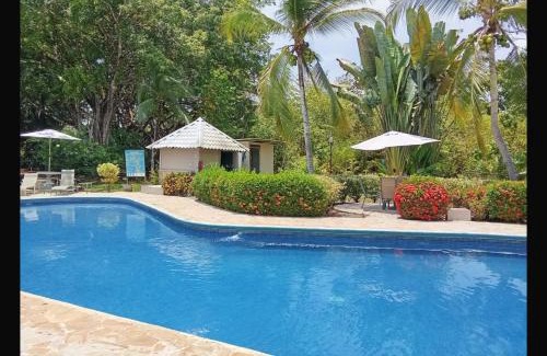 Damas Apartment | Montello Quepos