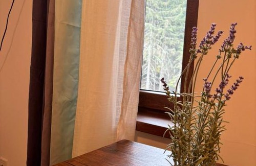 Pamporovo Apartment | Montepinar Apartment Grand Resort Pamporovo