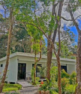 Monteverde Apartment | Monteverde Magic Mountain
