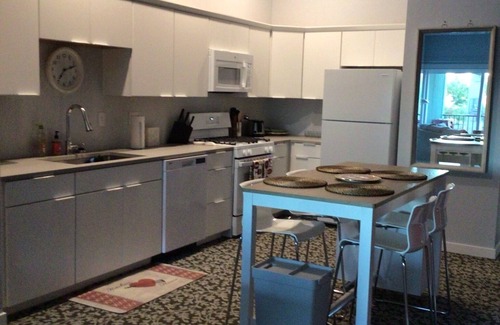 Central Area Apartment | Month to Month Downtown Salem OR. Loft Apartment 229