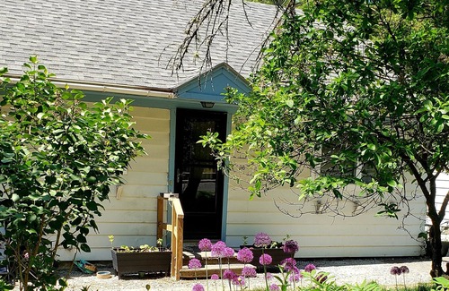 Montpelier House | Montpelier 3 bedroom house located on Terrace St a 5 min walk to downtown.