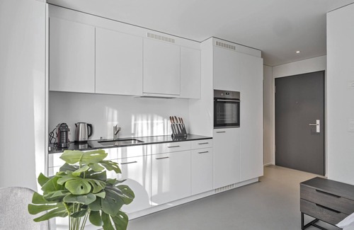 Grenchen Apartment | MOOI Apartments Grenchen