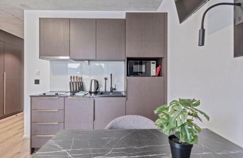 St. Gallen Apartment | MOOI Apartments St.Gallen