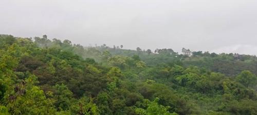 Nong Sarai Other | Moon Camp Khaoyai