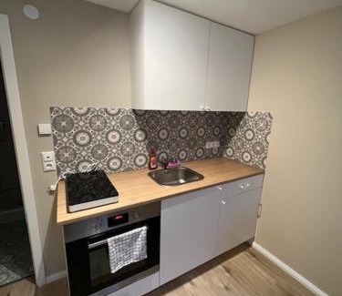 Rodenbach Apartment | Moon Monteur Apartment