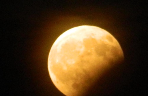 Camerota Other | Moonlight Bubble Room