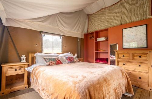 Exton House | Moorhen - Exton Park