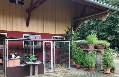 Ostrach Apartment | Moorwiesenhof