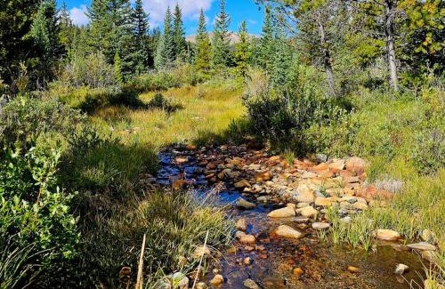 Valley of the Sun House | Moose Mtn Lodge/Luxury Cabin/Hot Tub/Fireplace
