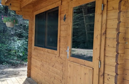 Hastings Highlands Cabin | Moose Run, a PRIVATE Pine Cabin in the Woods near Algonquin Park, Ontario.