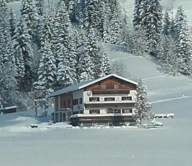 Abtenau Apartment | Moosgut