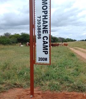 Palapye House | Mophane Camp