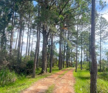 Pinheira Bed & Breakfast | Morada Fênix