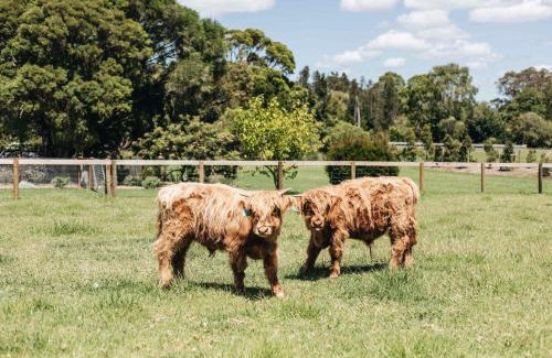 Berry House | Moraea Farm, Berry - by Linnaeus Collection