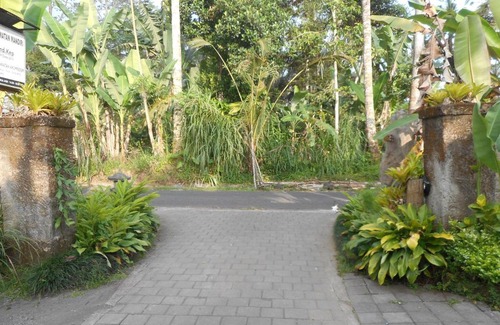 Taro Villa | Moringga Holiday Ubud