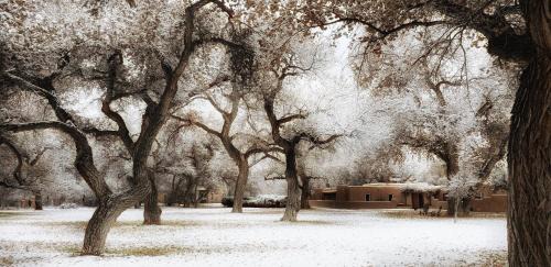 Corrales Bed & Breakfast | Morning Star Bed & Breakfast of Corrales